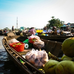 WMU_galerie_photos_mekong-5